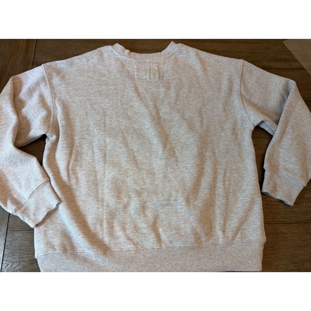 Peanuts Team Snoopy Sweatshirt Women Small Gray Graphic Pullover Charlie Brown - Picture 5 of 7